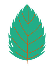Isolated leaf vector design vector illustration