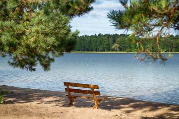 Enjoy the view on the sand lake. A bench in the cool shade on the lake with a view of the green deciduous forest.