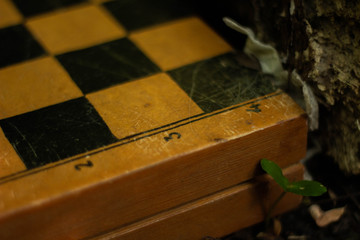 chess board, black and white color, texture, figures for play