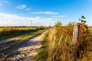 Obraz premium Sand path near Wiesmoor