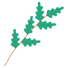 Isolated leaves vector design vector illustration