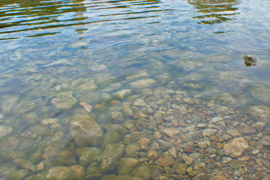 reflection of leaves in water