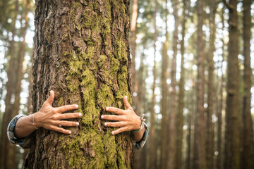 Environment and respect for Earth nature concept - adult woman hugging a green tree in the forest -...
