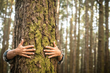 Environment and respect for Earth nature concept - adult woman hugging a green tree in the forest - save the planet and climate change - defocused background wih nature