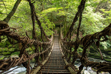 奥祖谷二重かずら橋