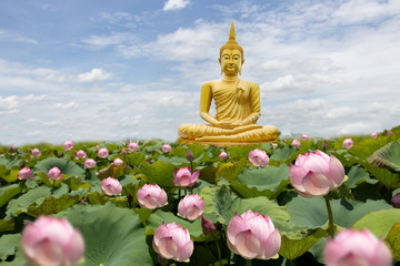 Golden Buddha images on sky clouds background in a Buddhist temple with lotus garden,concept for...