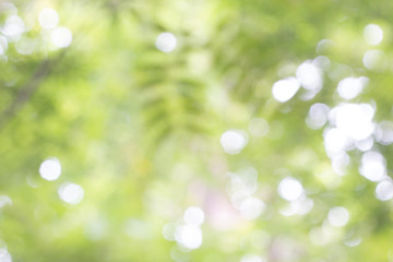 Obraz premium natural green background with selective focus