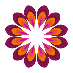 Isolated ornament feather round vector design