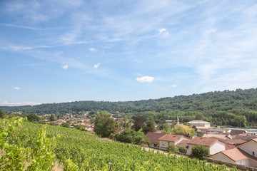 Fototapeta na wymiar Panorama of Saint Savin, small French village of Isere, in the Dauphine province, with medieval catholic church & other historic building seen from vineyards of the village used for wine production