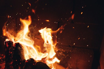 burning fire logs with sparks in the fireplace