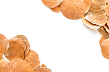 Seaside pattern with shells on white background top view copyspace