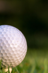 Portrait of golf ball on a tee background falling into darkness