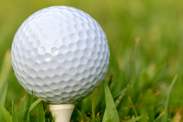 Close up of golf ball on tee in ruff grass