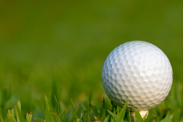 golf ball on tee, green out of focus background with negative space left of the golf ball.