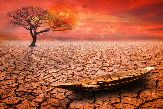 Land with the dry and cracked ground. Desert, Global warming background © frank29052515