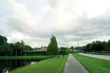 Obraz premium Beautiful tropical tree leaf in spring