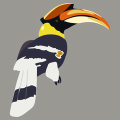 The great hornbill. Silhouette of a bird. (Buceros bicornis). Great Indian hornbill. Great pied hornbill. © Olena