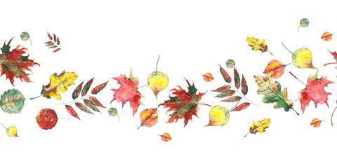 Watercolor autumn seamless borders with bright leaves, mushrooms, berries, birds on white and black background