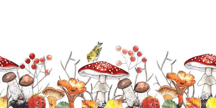 Watercolor autumn seamless borders with bright leaves, mushrooms, berries, birds on white and black background