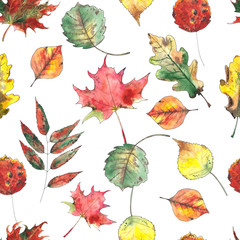 Watercolor autumn seamless patterns with bright leaves, mushrooms, berries, birds and monochrome animals
