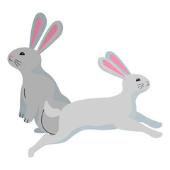 Cute two rabbits animals cartoons