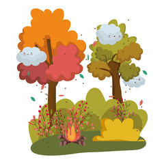 Isolated camp fire vector design