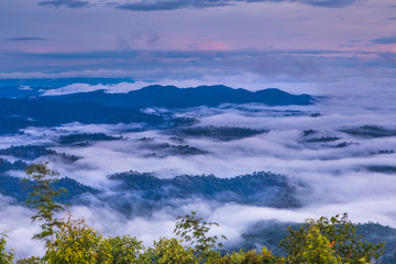 Landscape sea of mist on high mountain in  Phitsanulok province, Thailand.