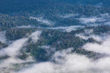 Landscape sea of mist on high mountain in  Phitsanulok province, Thailand.