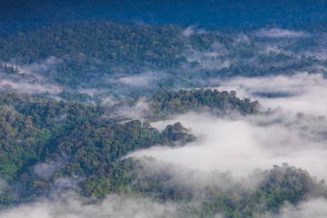 Landscape sea of mist on high mountain in  Phitsanulok province, Thailand.