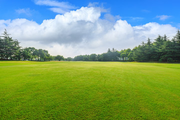 Green grass and blue sky with white clouds in summer season