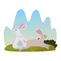 Cute two rabbits animals cartoons