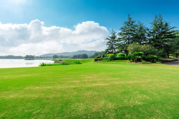 Green grass and blue sky with white clouds in summer season