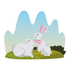Obraz na płótnie Canvas Cute two rabbits animals cartoons