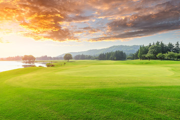 Green grass and forest with beautiful clouds at sunset