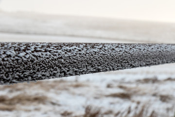 beautiful frost on a cold winters morning. Transforms the fence in to abstract art work.