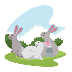 Cute three rabbits animals cartoons