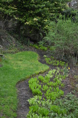 path in garden