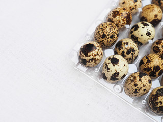 small quail eggs on transparent plastic tray