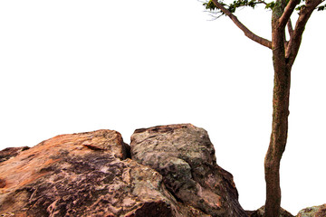 The trees.Rocks and Stone on the Mountain .Isolated on White background