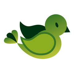 Bird flat color illustration on white