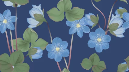 Fotobehang Botanical seamless pattern, blue Hepatica Nobilis flowers with leaves on dark blue, pastel vintage theme © momosama