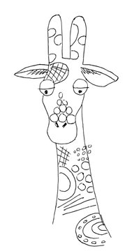 Vector Of A Giraffe Head On White Background, Wild Animals. Cute giraffe drawing. The design of postcards, booklets, flyers.