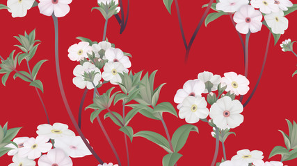 Botanical seamless pattern, Woolly rock jasmine flowers with leaves on red, pastel vintage theme