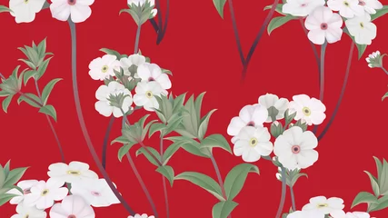 Muurstickers Botanical seamless pattern, Woolly rock jasmine flowers with leaves on red, pastel vintage theme © momosama