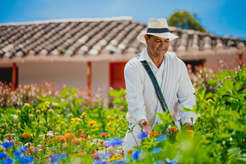 Old man farming flowers on a colourful countryside