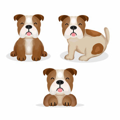 Hand drawn illustration of cute cartoon Bull dog.