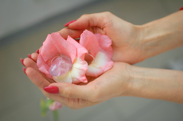 Close up photo of female hand with transparent amethyst yoni egg for vumbuilding inside pink gladiolus flower. Top view of quartz crystal in hands. Womens health concept