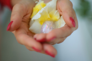 Indoors photo of female hand holding a yoni egg and white and yellow gladiolus flower. Transparent violet amethyst crystal for vumfit, imbuilding or meditation with rainbow inside.