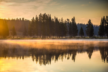Sunbeams Through Low Fog over Yellowstone River at Sunrise - 1