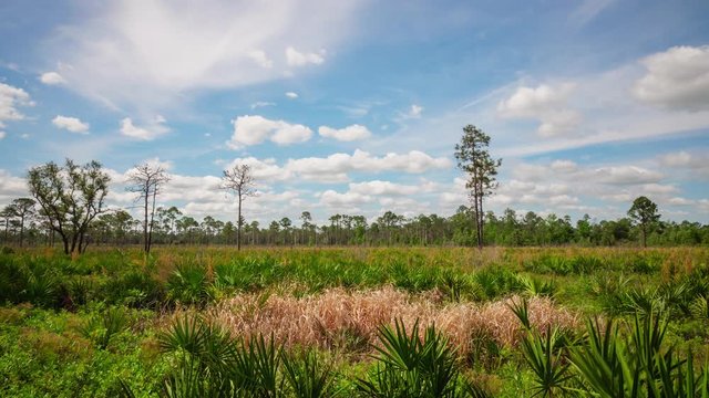 4K Pine Flatlands Clouds Timelapse 1